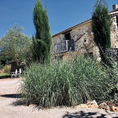 Le Gite De La Maison Des Chats - Gite En Quercy Saint-Amans-du-Pech Εξωτερικό φωτογραφία